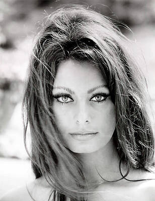 Sophia Loren by Georgia Clare