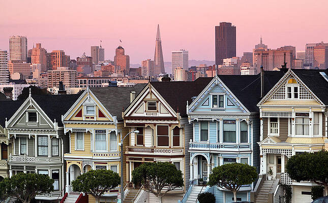 Sky Wall Art featuring the photograph Sophisticated Ladies by Nicholas Blackwell