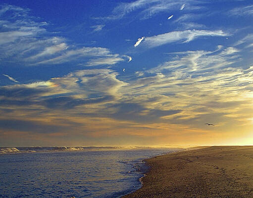Sky Wall Art featuring the photograph South Of Sunset by Robert Newman