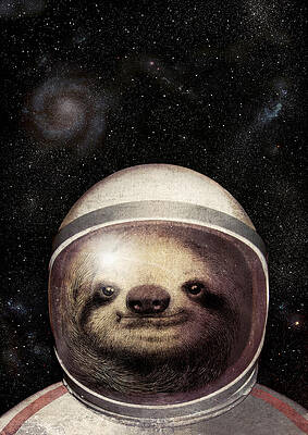 Sloth Astronaut in Space Wall Art
