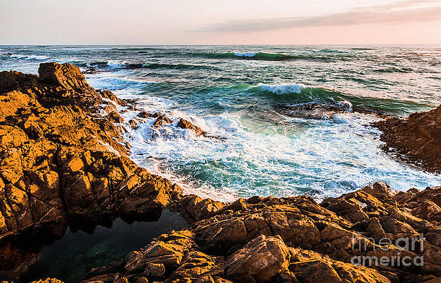 Golden Coastline at Sunset Wall Art
