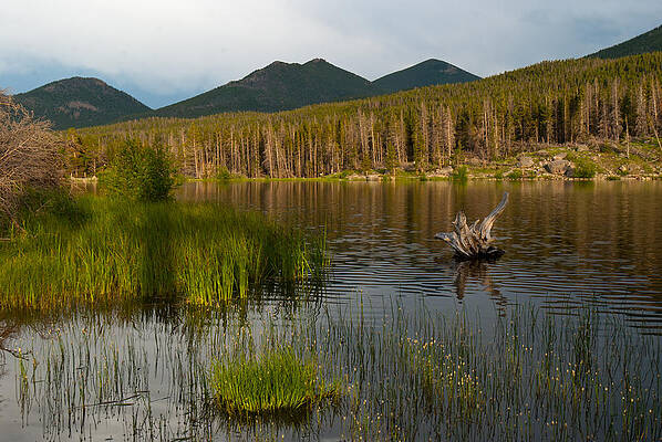 Rocky Mountain National Park Photograph - Sprague Lake Sunset by Cascade Colors