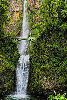 Country Wall Art featuring the photograph Spring At Multnomah Falls by Dale Kauzlaric