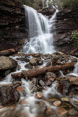 Beautiful Photograph - Spring Flings by Todd Wilkinson