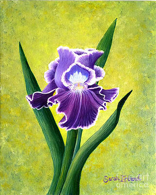 Spring Iris by Sarah Irland