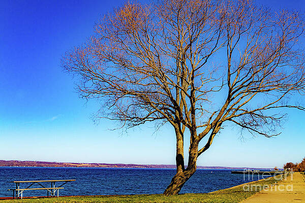 Spring Wall Art featuring the photograph Springtime In The Finger Lakes by William Norton