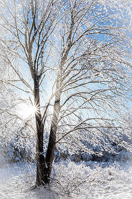 Beautiful Photograph - Squal by Todd Wilkinson