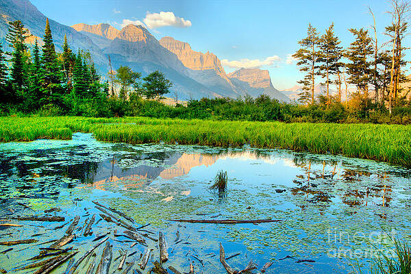 Wall Art featuring the photograph St Mary Peak Hazy Reflections by Adam Jewell