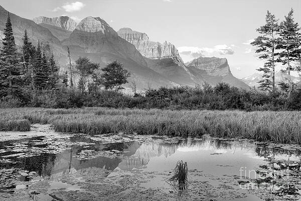 Wall Art featuring the photograph St Mary Pond Sunrise Black And White by Adam Jewell