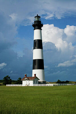 Photograph - Standing Tall by Rob Narwid