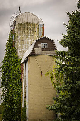 Wall Art featuring the photograph Standing Tall by Steve L'Italien