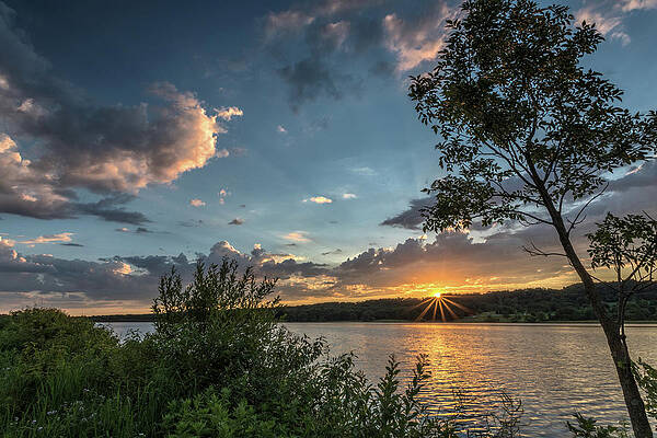 Beautiful Photograph - Star Smile by Todd Wilkinson
