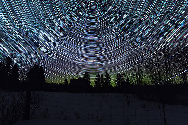Wall Art featuring the photograph Star Trails by Linda Ryma