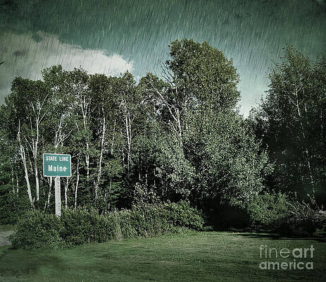 Tree Wall Art featuring the photograph State Line Maine by Onedayoneimage Photography