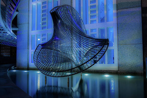 Night Photograph - Steel Jellyfish by Kenny Thomas