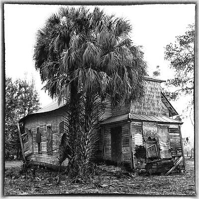 Florida Wall Art featuring the photograph Still Calling by Ghostwinds Photography