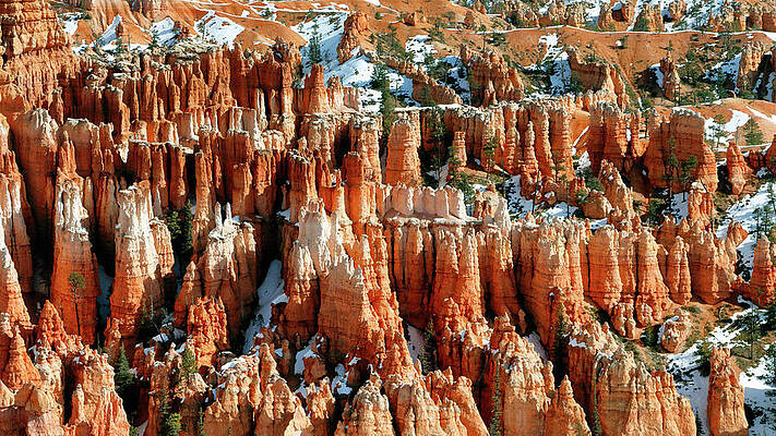 Rocky Photograph - Stone Forest by Nicholas Blackwell