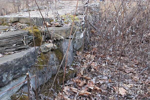 Wall Art featuring the photograph Stone Wall At Jackson Lock by Christopher Lotito