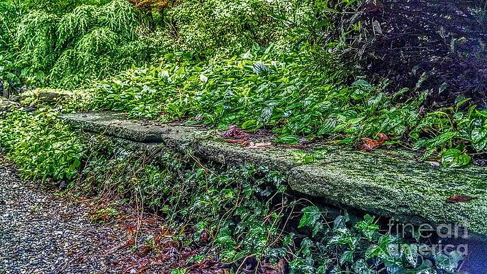 Wall Art featuring the photograph Stone Wall At Laurelwood by Christopher Lotito