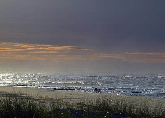 Photograph - Stroll I I I by Robert Newman