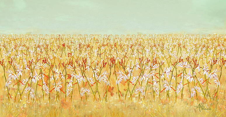 Field of Blossoming Lilies Painting
