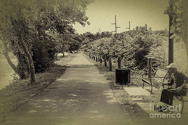 Summer Photograph - Summer Reading by William Norton