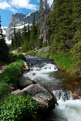 Rocky Mountain National Park Photograph - Summer Rocky Mountain Stream by Cascade Colors