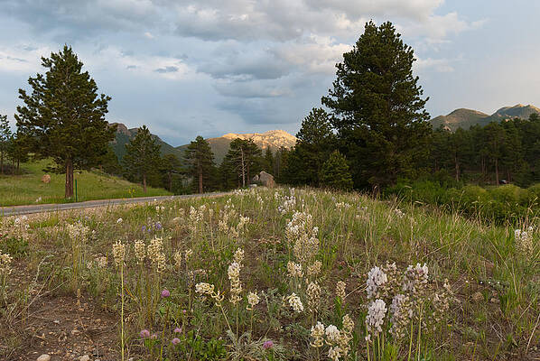 Rocky Mountain National Park Photograph - Summer Sunset In The Rockies by Cascade Colors