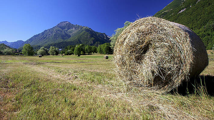 Wall Art featuring the photograph Summertime In The Alps by Alberto Audisio