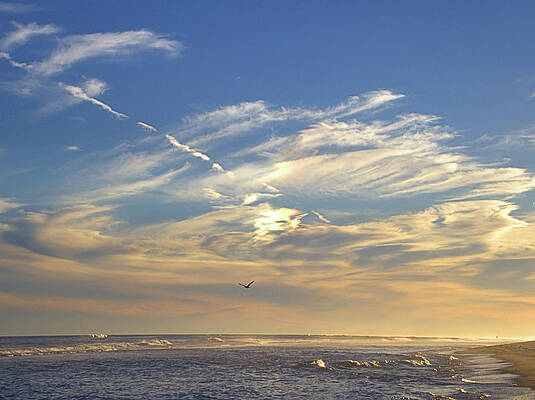 Wall Art featuring the photograph Sundog I I by Robert Newman
