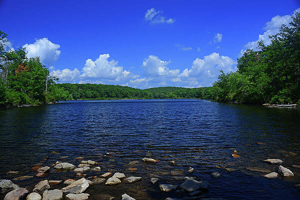 Sunfish Pond Print
