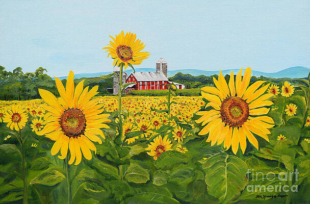 Painting - Sunflowers On Route 45 - Pennsylvania- Autumn Glow by Jan Dappen