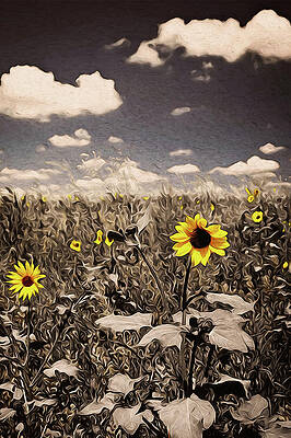 Summer Painting - Sunflowers, Whispers Of Nature by AM FineArtPrints