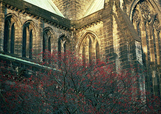 Wall Art featuring the photograph Sunlit Glasgow Cathedral by Kenneth Campbell