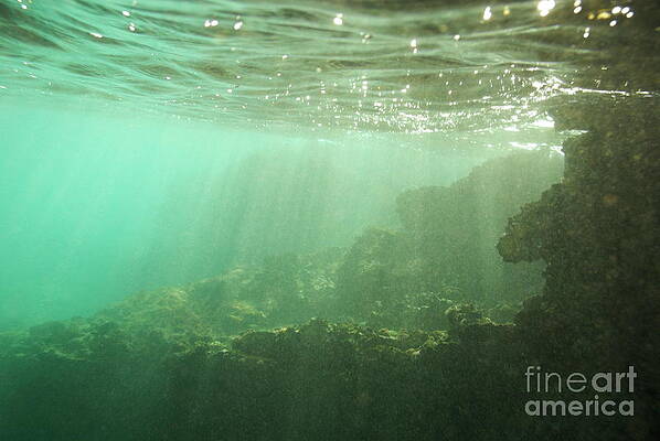 Wall Art featuring the photograph Sunrays Penetrating Underwater Cave by Sami Sarkis Photography