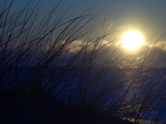 Sunrise Photograph - Sunrise 2 by Robert Newman