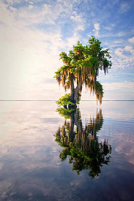 Sunrise Photograph - Sunrise Dip #2 by Ghostwinds Photography