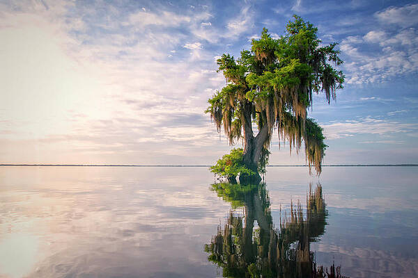 Sunrise Photograph - Sunrise Dip by Ghostwinds Photography