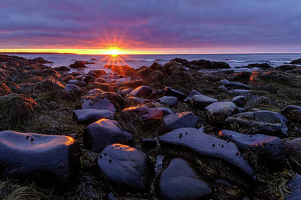 Sky Wall Art featuring the photograph Sunrise Fire On The New Hampshire Coast. by Jeff Sinon