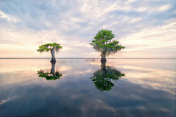 Sunrise Photograph - Sunrise Serenity by Ghostwinds Photography