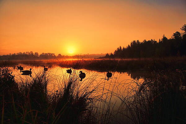 Wis Photograph - Sunrise Waterfowl Hunt by Dale Kauzlaric