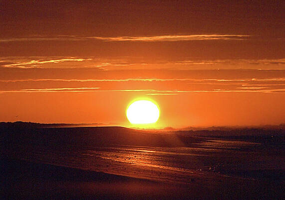 Sky Wall Art featuring the photograph Sunrise X I by Robert Newman