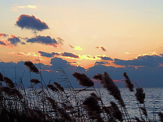 Wall Art featuring the photograph Sunset Bay I I by Robert Newman