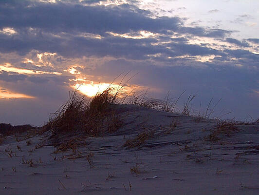 Photograph - Sunset Dunes by Robert Newman