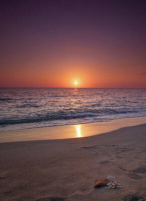 Florida Wall Art featuring the photograph Sunset In Captiva Island by Alberto Audisio