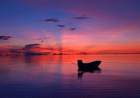 Sunset Rays by Steven Robiner
