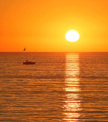 Photograph - Sunset Solitude by Ed Clark