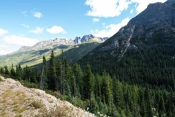 September Photograph - Silver Star Mountain And Kangaroo Ridge by Tom Cochran