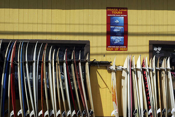 Wall Art featuring the photograph Surfboard Selection by Kenneth Campbell