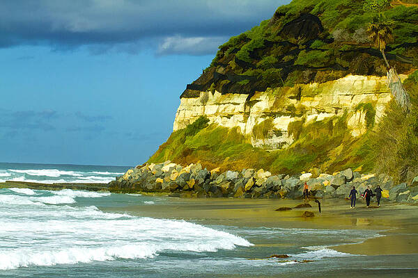 San Diego Wall Art featuring the digital art Swamis California by Waterdancer
